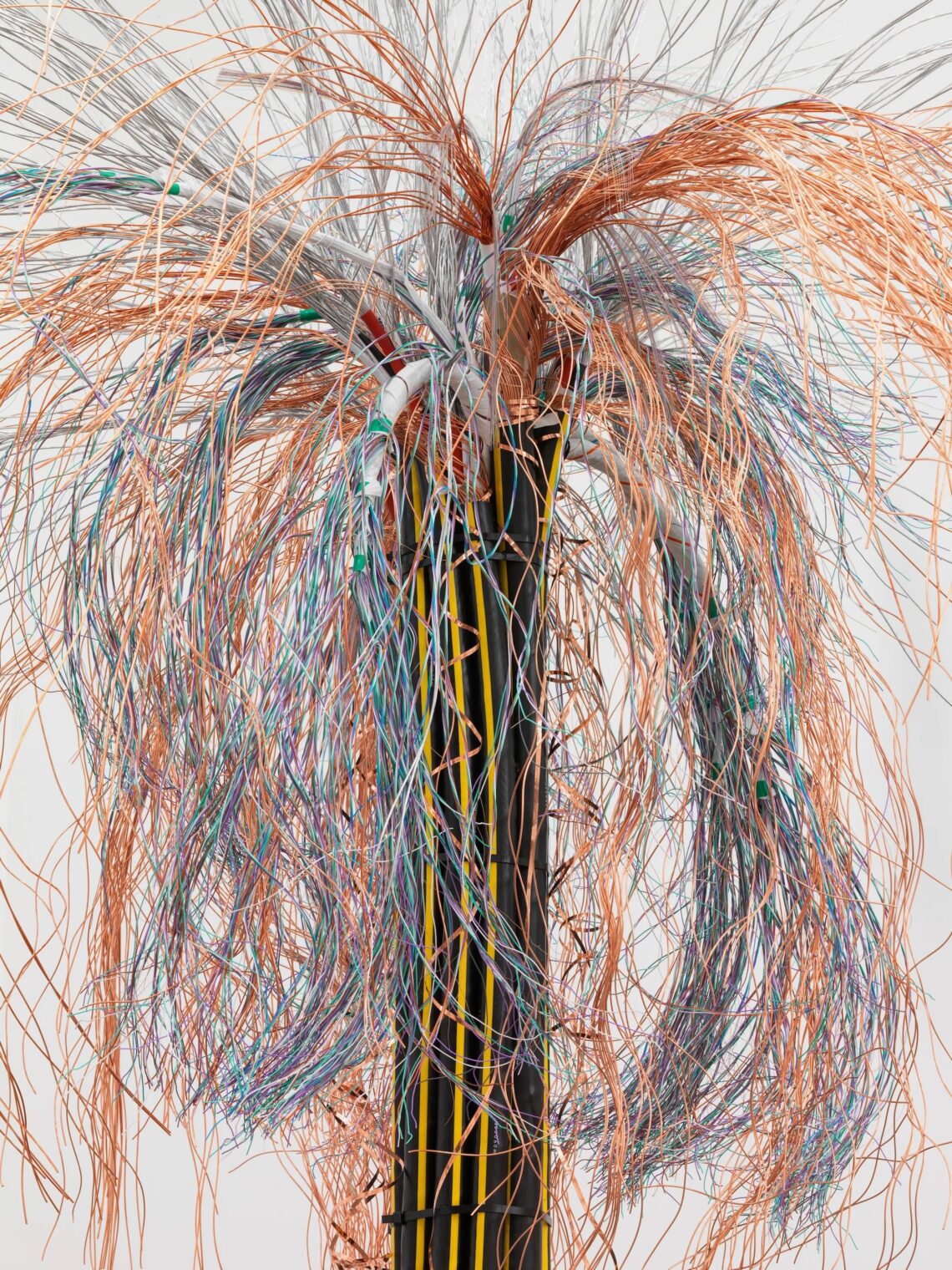 © Vanessa Billy, Large Burst I, 2019. Photo: Stefan Altenburger.