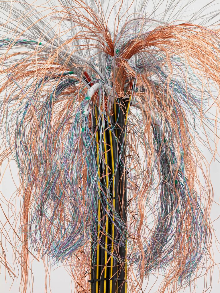 © Vanessa Billy, Large Burst I, 2019. Photo: Stefan Altenburger.