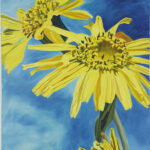 Anne Loch AL 206, 1987 Acryl auf Nessel 200 × 140 cm Privatsammlung Foto: Dominique Uldry, Bern