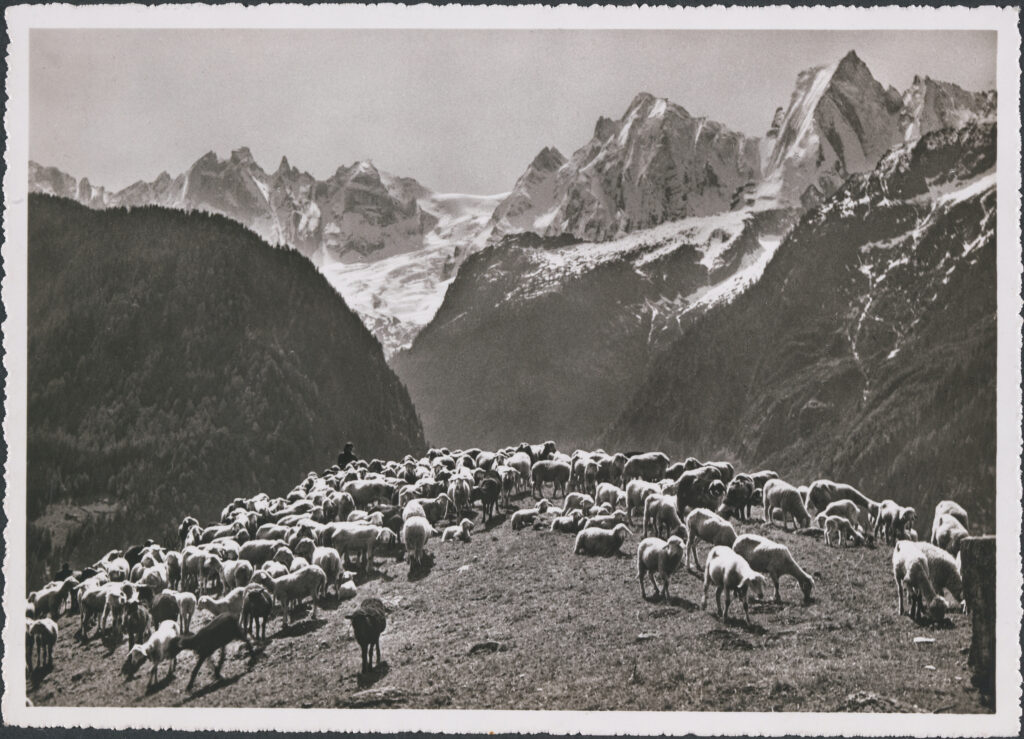 Malojastrasse, 1947, Werner Friedli © ETH-Bibliothek Zürich, Bildarchiv/Stiftung Luftbild Schweiz / LBS_H1-010185