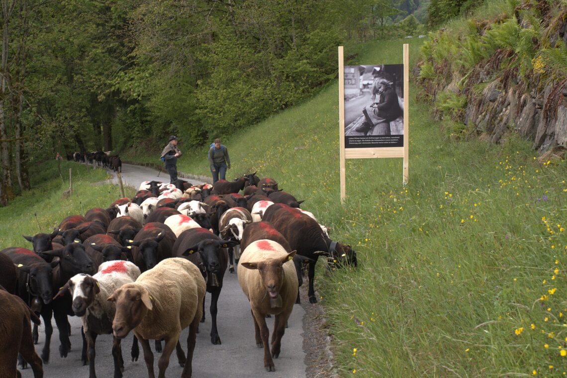 BrunnerStelen©FridolinWalcher2.jpg