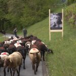 BrunnerStelen©FridolinWalcher2.jpg