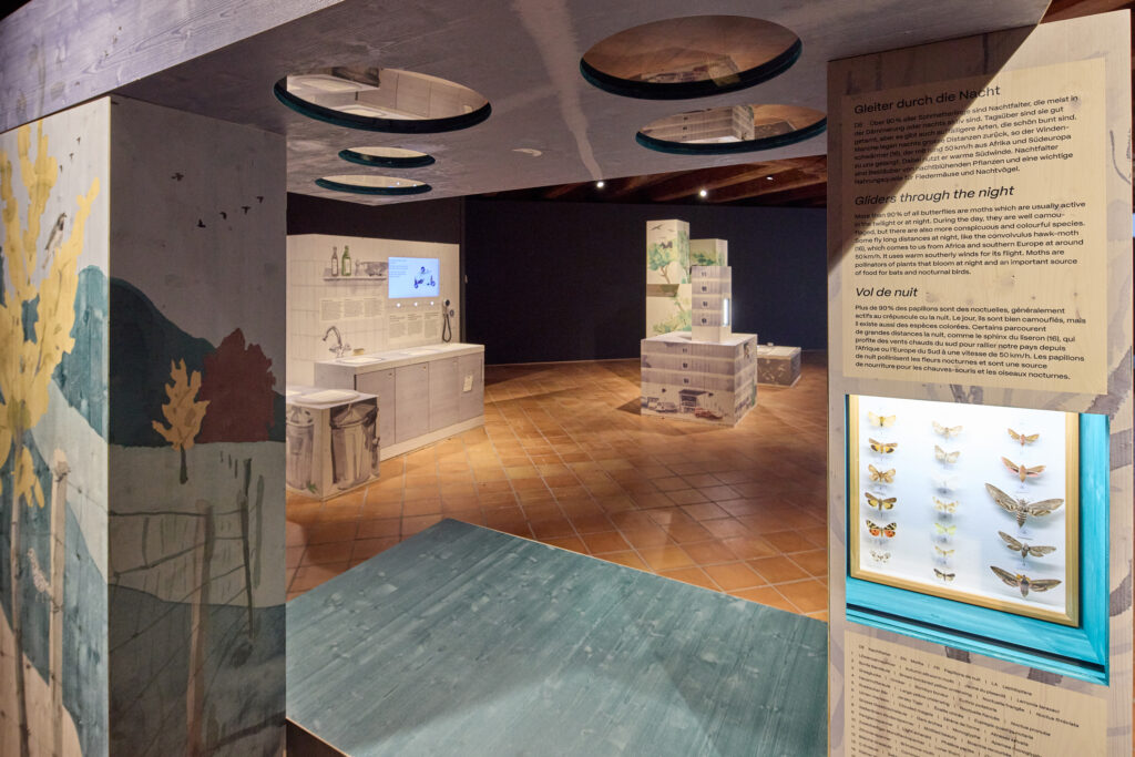 Ausstellungsansicht «Unsichtbar? Tiere im Verborgenen», Museum Luzern, 2026 - Foto: Gabriel Ammon / AURA