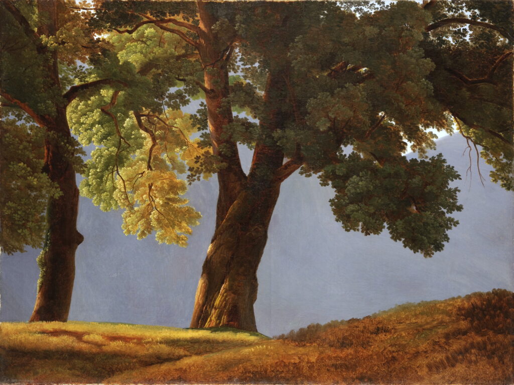 Simon Denis, Bäume vor einem Tal, o. J., Öl auf Leinwand, 68.8 x 91.1 cm, Fondation Custodia, Paris