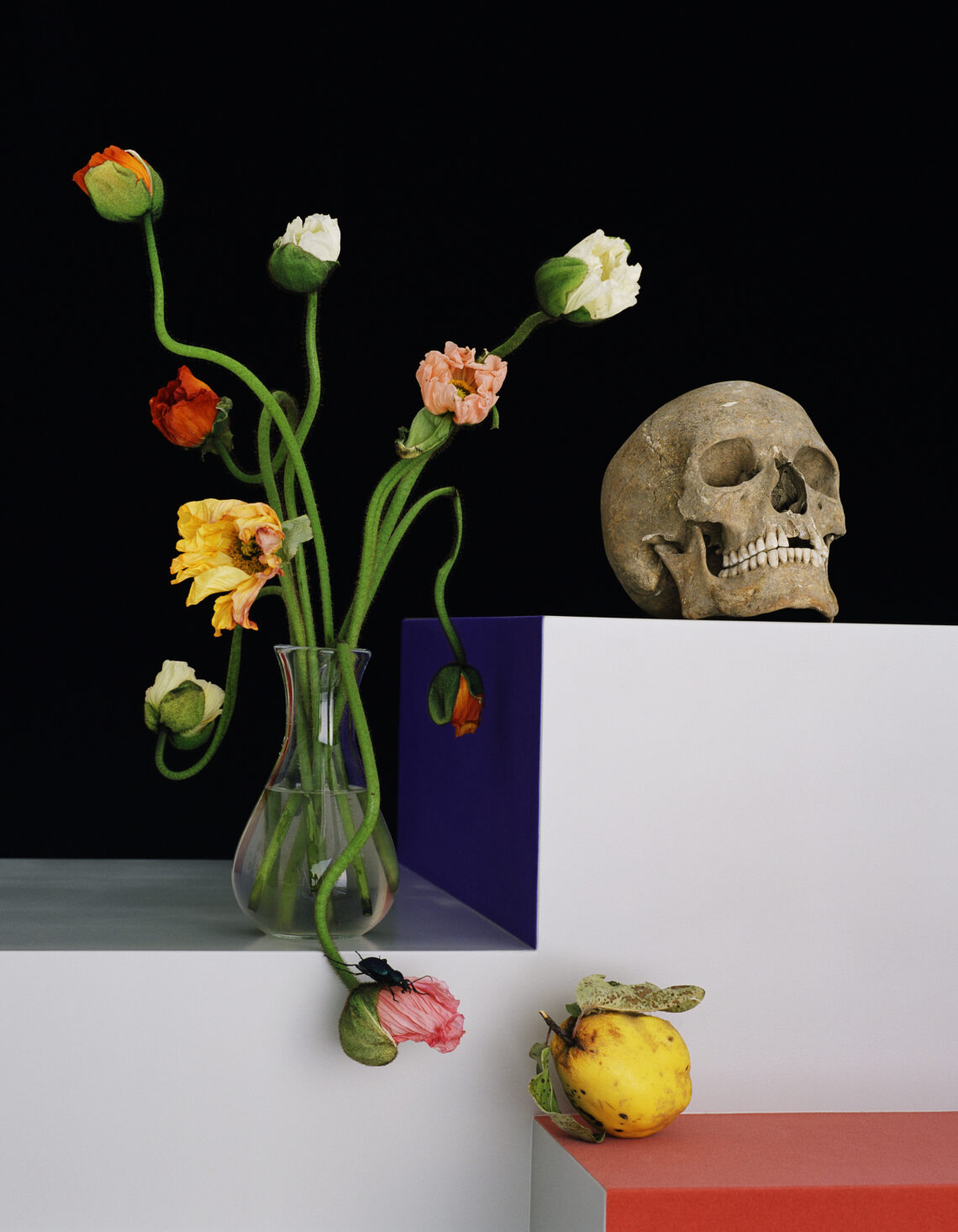 Shirana Shahbazi, [Stilleben-33-2009], 2009, C-Print auf Aluminium, 150 × 120 cm, Ed. von 5 (+ 1 AP), Courtesy of the artist und Galerie Peter Kilchmann, Zürich, Paris