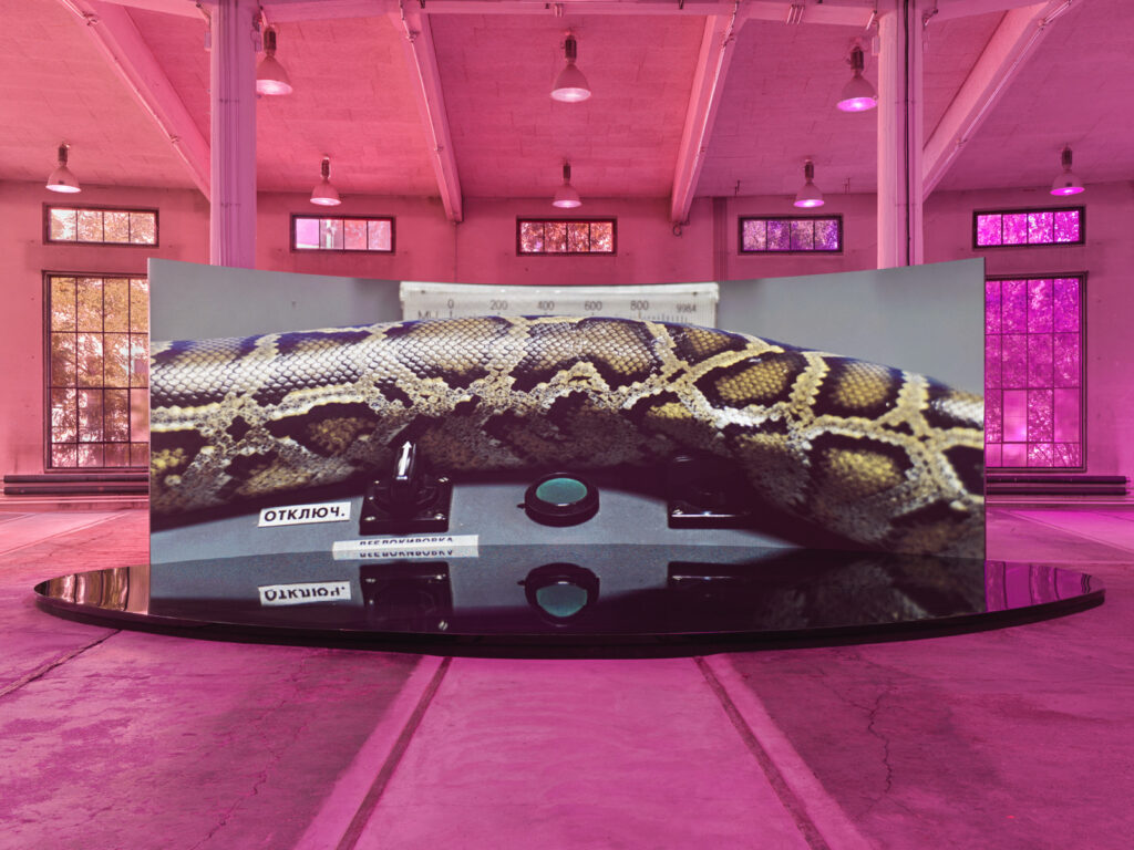 Installationsansicht: Emilija Škarnulytė, Arrow of Time, 2026, Kunstmuseum St.Gallen Lokremise, Foto: Stefan Altenburger
