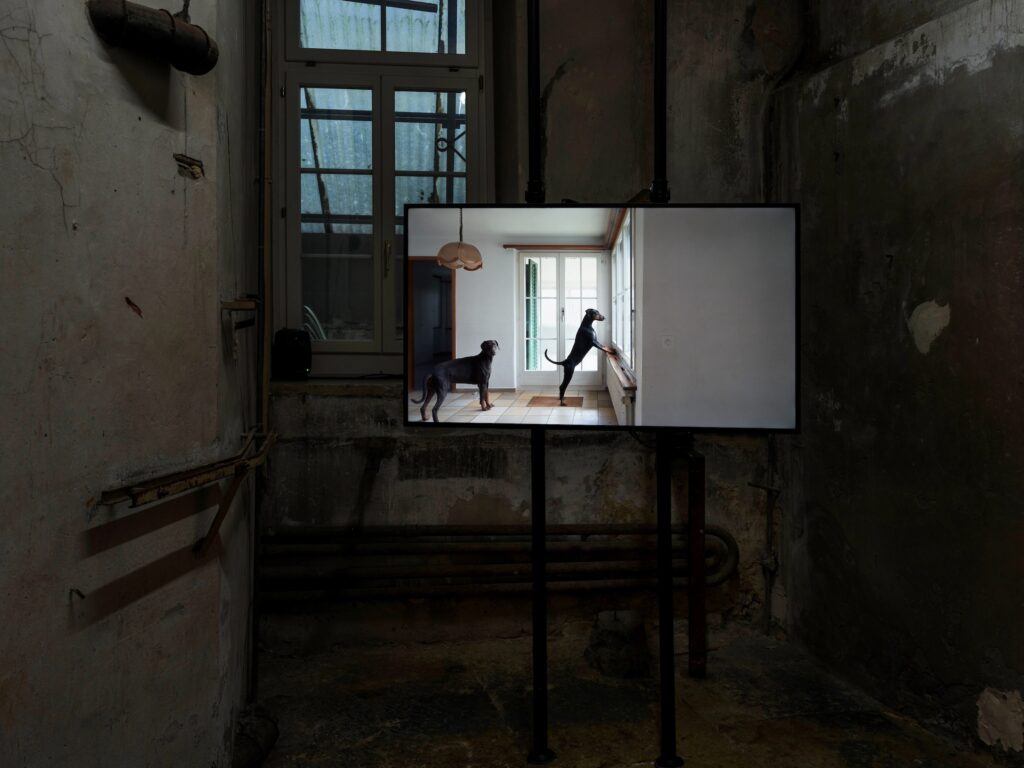 Johanna Bossart, Vom Verschwinden, Jahr, 2025, Filmstill, Foto: Johanna Bossart