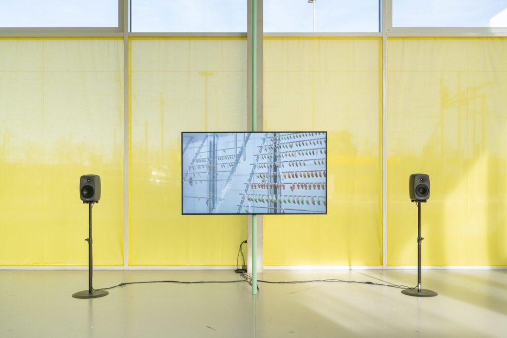 Alexandra Navratil Alexandra Navratil aus Basel reist derzeit mit Reisestipendium Foto: © https://ateliermondial.com/