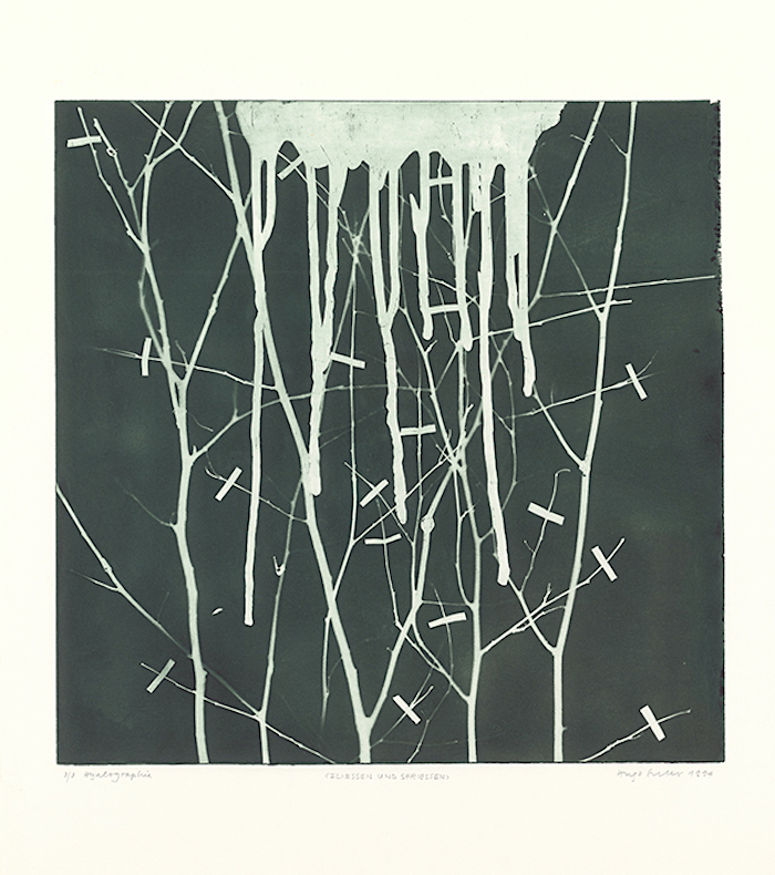 Hugo Suter Fliessen und Spriessen, 1994 Hyalografie 59,8 × 52,3 cm Inv.-Nr. 1995.78 Graphische Sammlung ETH Zürich © Hugo und Mariann Suter Stiftung