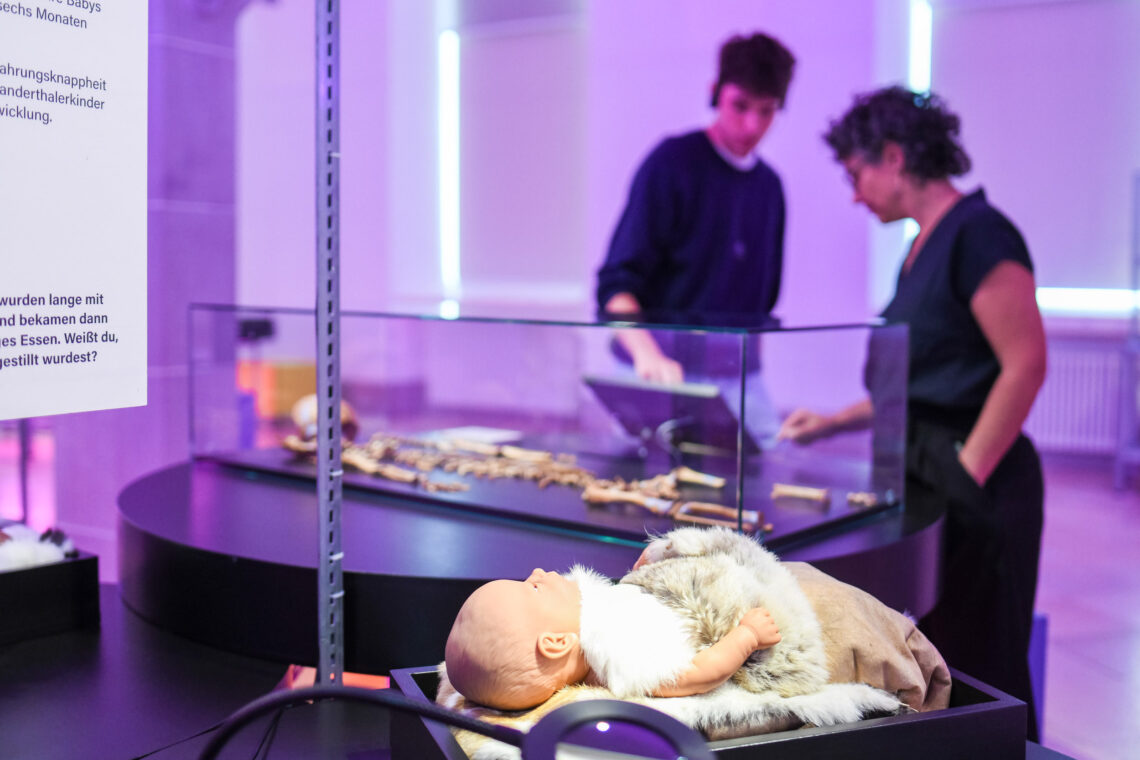 Blick in die Ausstellung - Foto: https://www.kulturmuseumsg.ch/ausstellungen/neanderthalerin2026.php