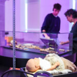 Blick in die Ausstellung - Foto: https://www.kulturmuseumsg.ch/ausstellungen/neanderthalerin2026.php