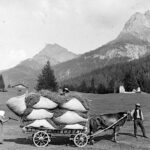 Nachlass Peider Lansel, Transport da fain 1910:1925, Biblioteca Chesa Planta Samedan