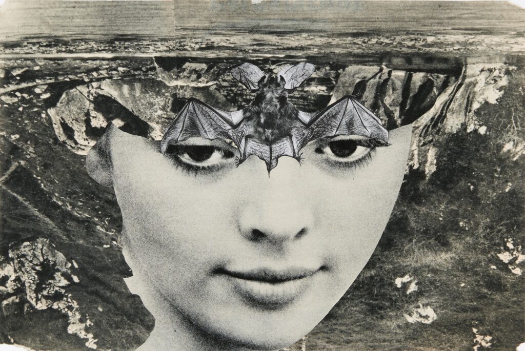 Sarah Schumann, Ohne Titel, 1961, Privatsammlung; Foto: Nicolai Stephan