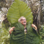 Roberto Burle Marx während einer botanischen Expedition in Ecuador, 1974 Foto: Luiz Knud Correia de Araújo