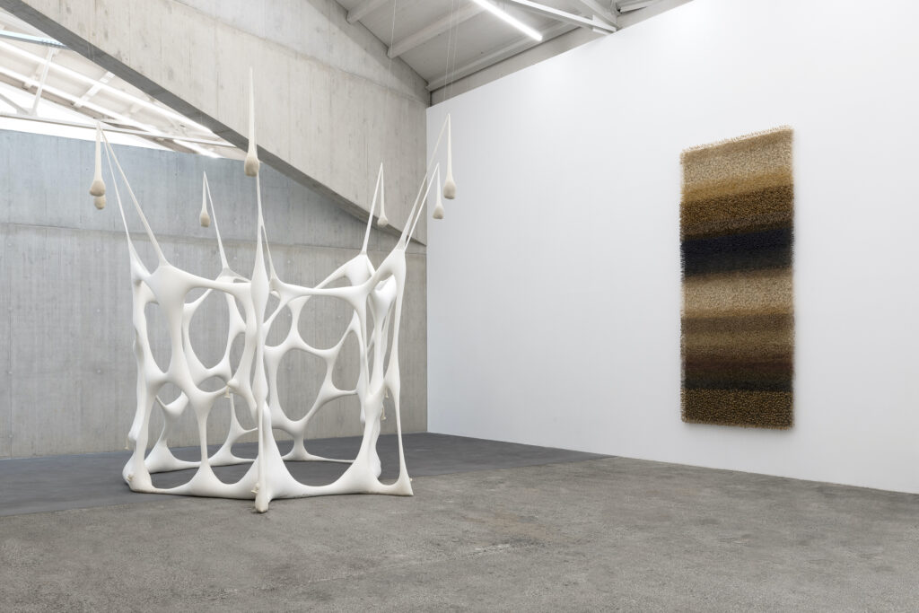 Ernesto Neto, Globulocell, 2001. Collection of Contemporary Art ”la Caixa” Foundation. Maya Rikli, Sonido, 2026. Courtesy of the artist. Ausstellungsansicht Kunsthaus Baselland 2026. Foto: Gina Folly © Kunsthaus Baselland