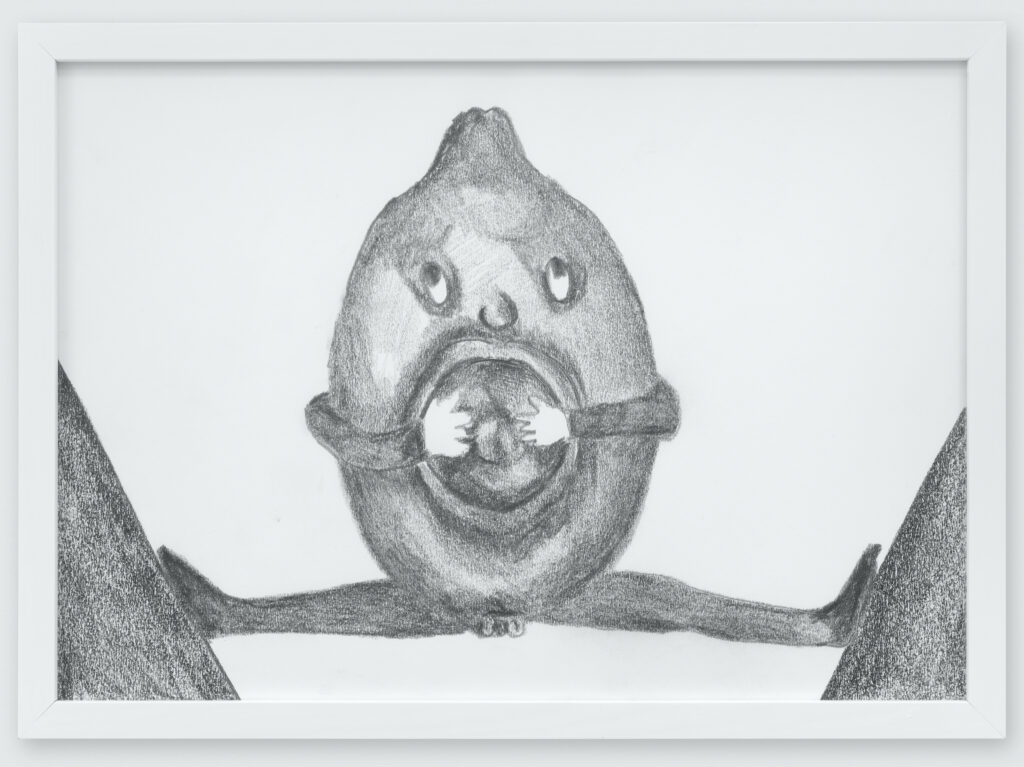 Klodin Erb, Das Innere [L’intérieur], 2016/17, crayon graphite sur papier, 29.7 x 42cm. Courtoisie de l’artiste et Galerie Urs Meile. Photo : Stefan Altenburger Fotografie Zürich  
