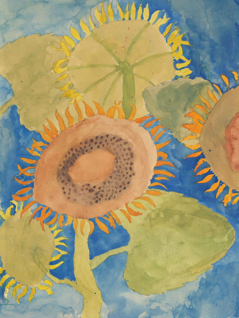 «Sonnenblume», 1947. Kinderzeichnung eines 12-jährigen Schülers der 5. Klasse aus Auslikon. Aquarell und Bleistift auf Papier, 33,5 × 25,0 cm. Archiv der Kinder- und Jugendzeichnungen der Stiftung Pestalozzianum, Signatur IIJ_311_016.